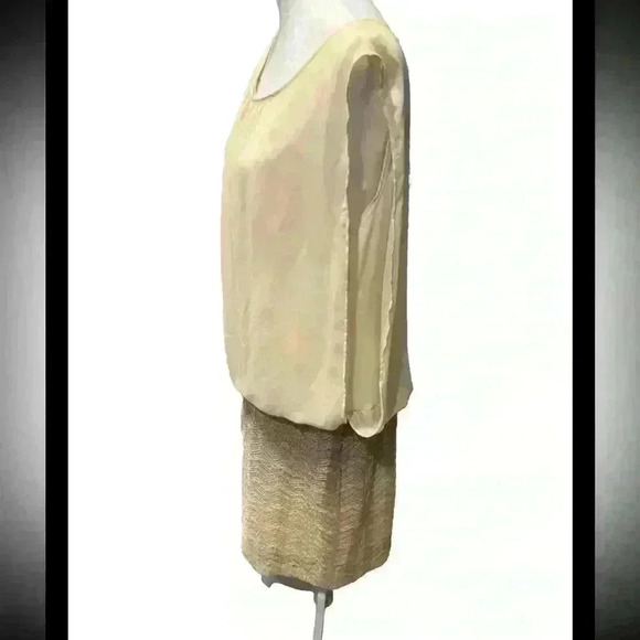 Scarlett Champagne Gold Cocktail Dress Glittery Sparkly - Picture 4 of 5